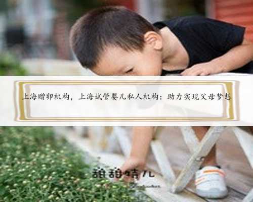 上海赠卵机构，上海试管婴儿私人机构：助力实现父母梦想