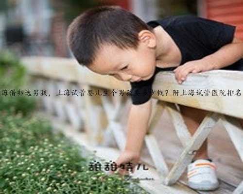 上海借卵选男孩，上海试管婴儿生个男孩要多少钱？附上海试管医院排名？