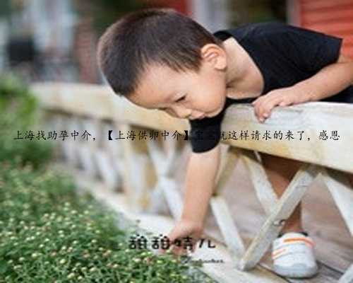 上海找助孕中介，【上海供卵中介】宝宝就这样请求的来了，感恩