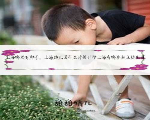 上海哪里有卵子，上海幼儿园什么时候开学上海有哪些私立幼儿园