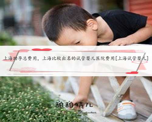 上海助孕总费用，上海比较出名的试管婴儿医院费用[上海试管婴儿]
