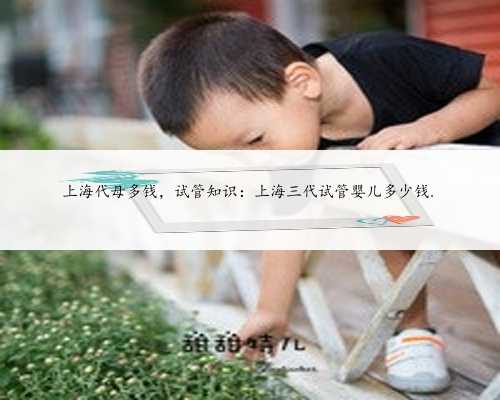 上海代母多钱，试管知识：上海三代试管婴儿多少钱.