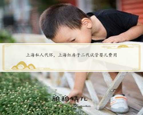 上海私人代怀，上海红房子二代试管婴儿费用