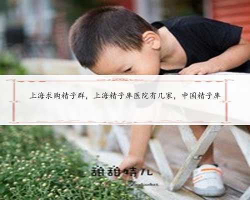 上海求购精子群，上海精子库医院有几家，中国精子库