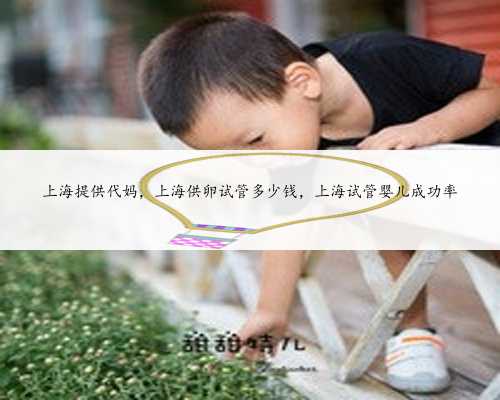 上海提供代妈，上海供卵试管多少钱，上海试管婴儿成功率