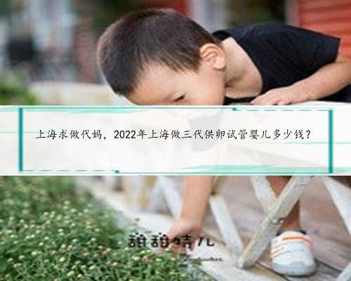 <strong>上海求做代妈，2022年上海做三代供卵试管婴儿多少钱？</strong>