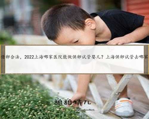 <strong>上海借卵合法，2022上海哪家医院能做供卵试管婴儿？上海供卵试管去哪家做？</strong>