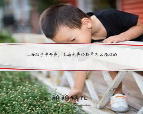上海助孕中介费，上海免费婚检单怎么领取的