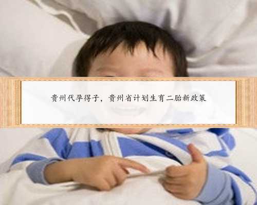 贵州代孕得子，贵州省计划生育二胎新政策