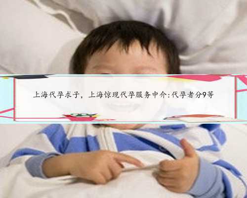上海代孕求子，上海惊现代孕服务中介:代孕者分9等
