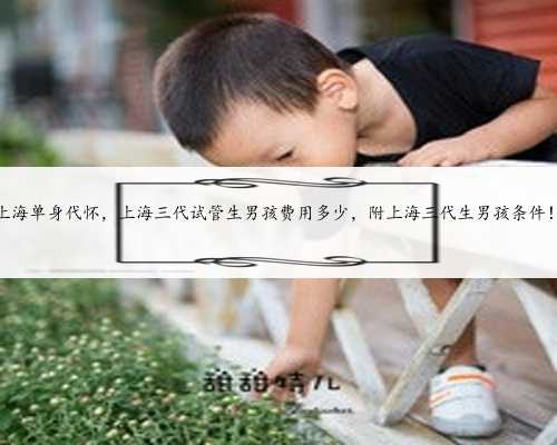 上海单身代怀，上海三代试管生男孩费用多少，附上海三代生男孩条件！
