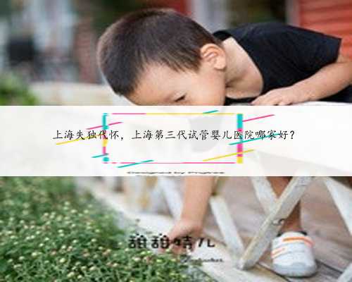 上海失独代怀，上海第三代试管婴儿医院哪家好？