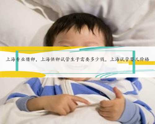 上海专业借卵，上海供卵试管生子需要多少钱，上海试管婴儿价格