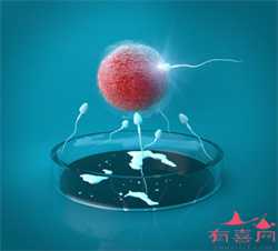 上海试管婴儿供卵生孩子，一文读懂人工授精和试管婴儿技术的区别