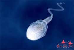 上海借卵生子的成功率，E试管：HIV不能阻挡单身同性格鲁吉亚试管助孕求子