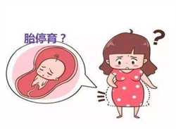 上海供卵生子费用，卵巢早衰决定做供卵试管婴儿全下来多少钱降调期间有哪些