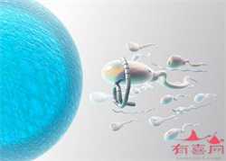 上海代怀招聘，做试管婴儿怎样避免宫外孕