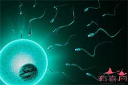 上海供卵可以选性别吗，​试管婴儿前期男性必要的检查项目有哪些？