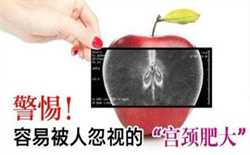 上海供卵自怀，【想生女孩吃什么】想生女孩不能吃什么水果？可以吃哪些水果