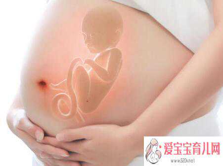 上海供卵试~供卵供精做试管上海~上海供卵三代试管婴儿，孕妇爱吃肉生男生女