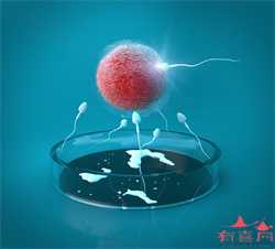 无锡助孕生子机构,泰国试管婴儿 海外机构:上海助孕生子机构哪家好？